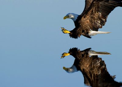 Double Tax Agreements and pensions